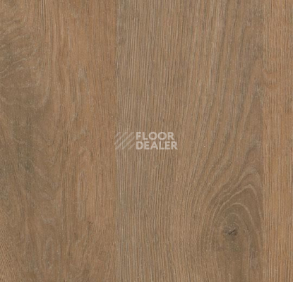 Линолеум Forbo SureStep Decibel 71897/718972 rustic oak фото 1 | FLOORDEALER